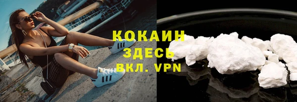 мяу мяу мука Аркадак