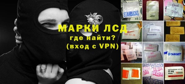 мяу мяу мука Аркадак